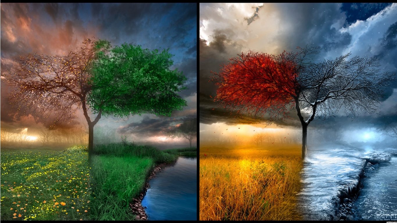 All 4 Seasons