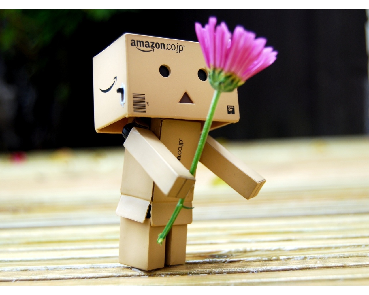 Amazon Box Giving Pink Flower