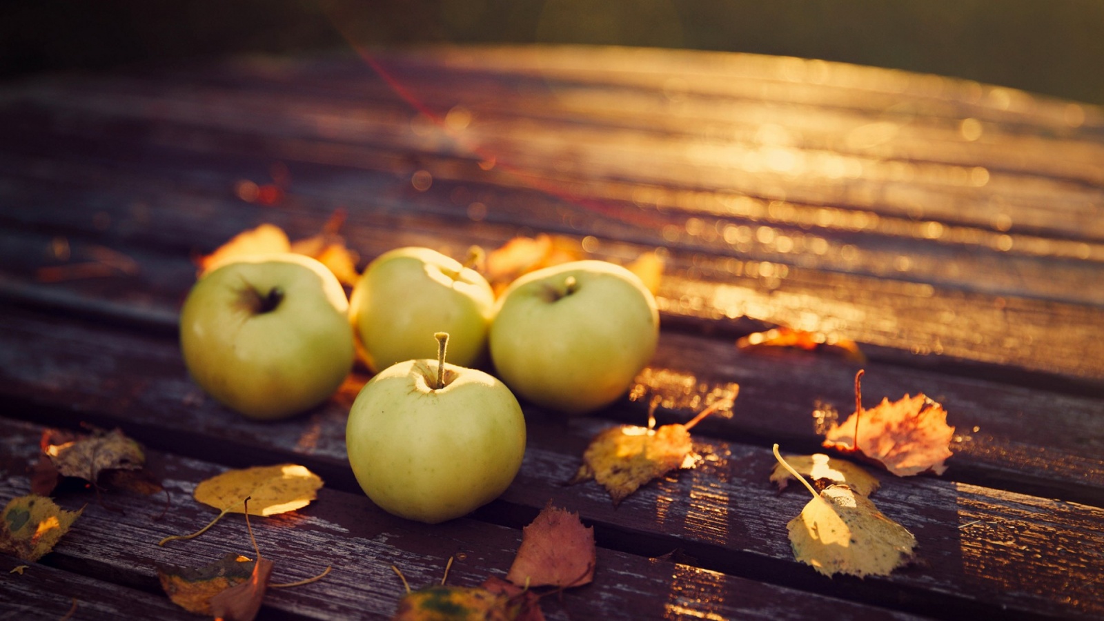 Apples Harvest Autumn