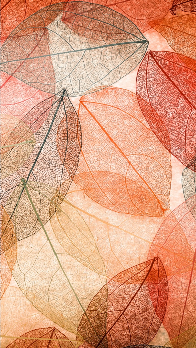 Autumn Leaves Transparent Abstract