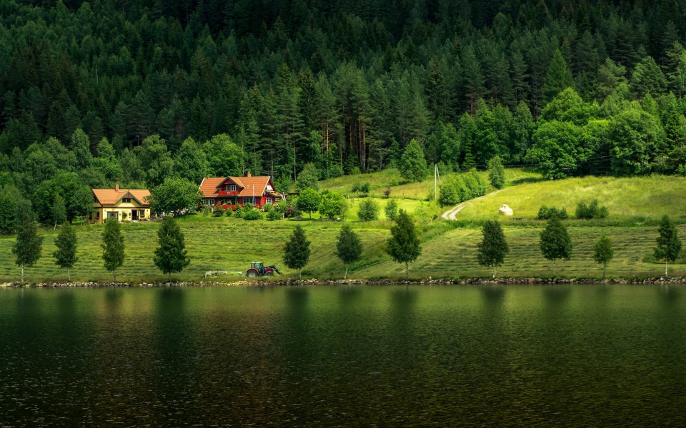 Beautiful Lake And Green Trees