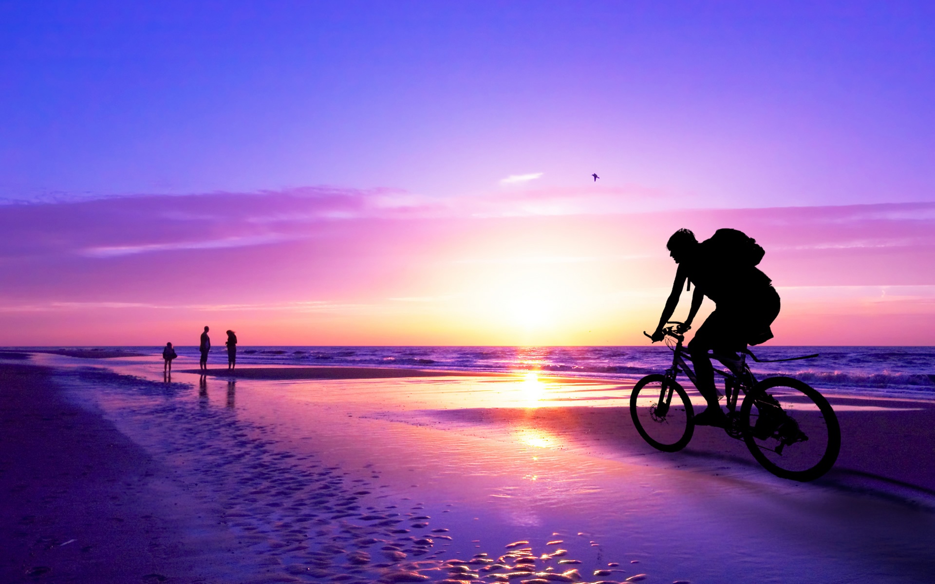 Bicycle On Sea Beach