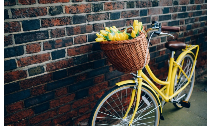 Bike Yellow Tulips Flowers