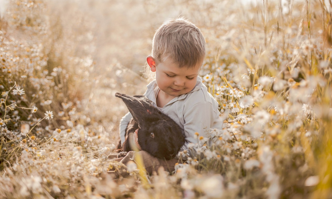 Boy Rabbit Friends Chamomile Meadow