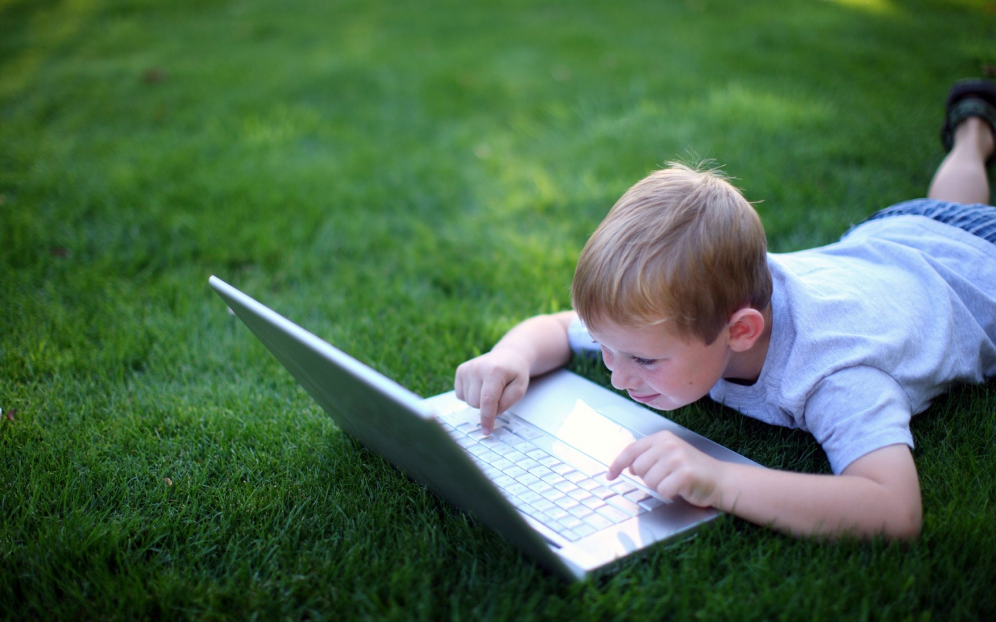 Boy With Laptop In Glade