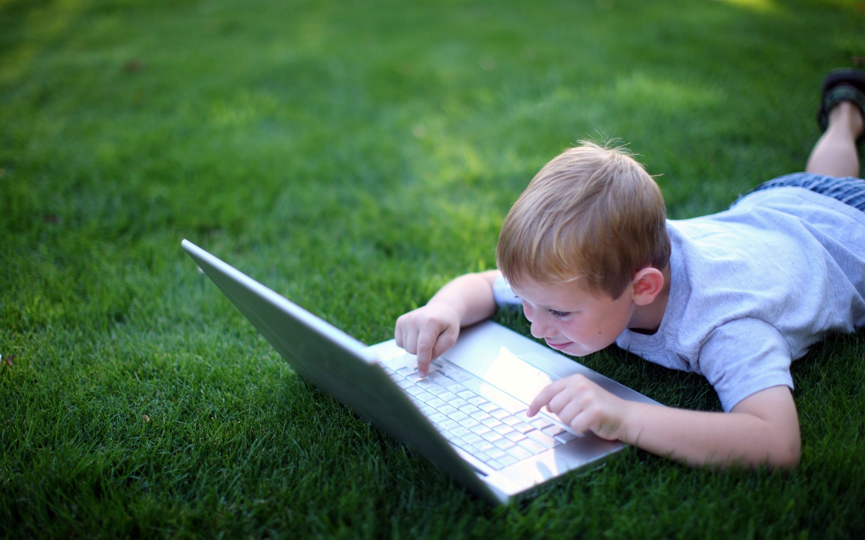 Boy With Laptop In Glade