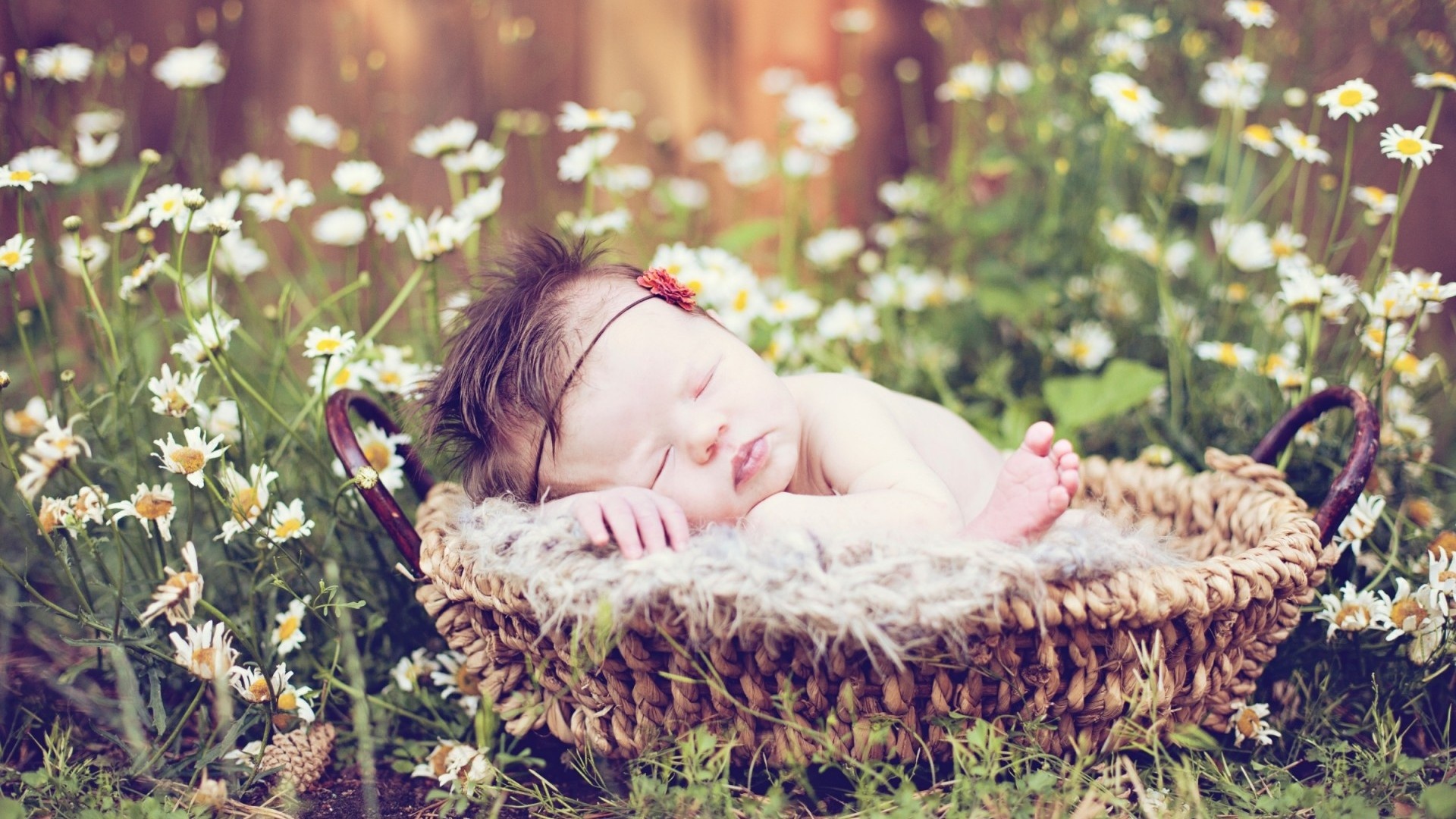 Children Sleeping Flowers