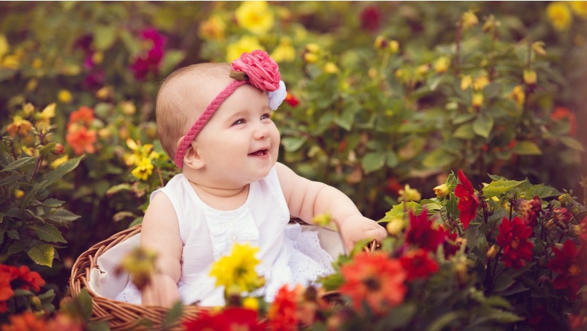 Cute Baby Rose Garden