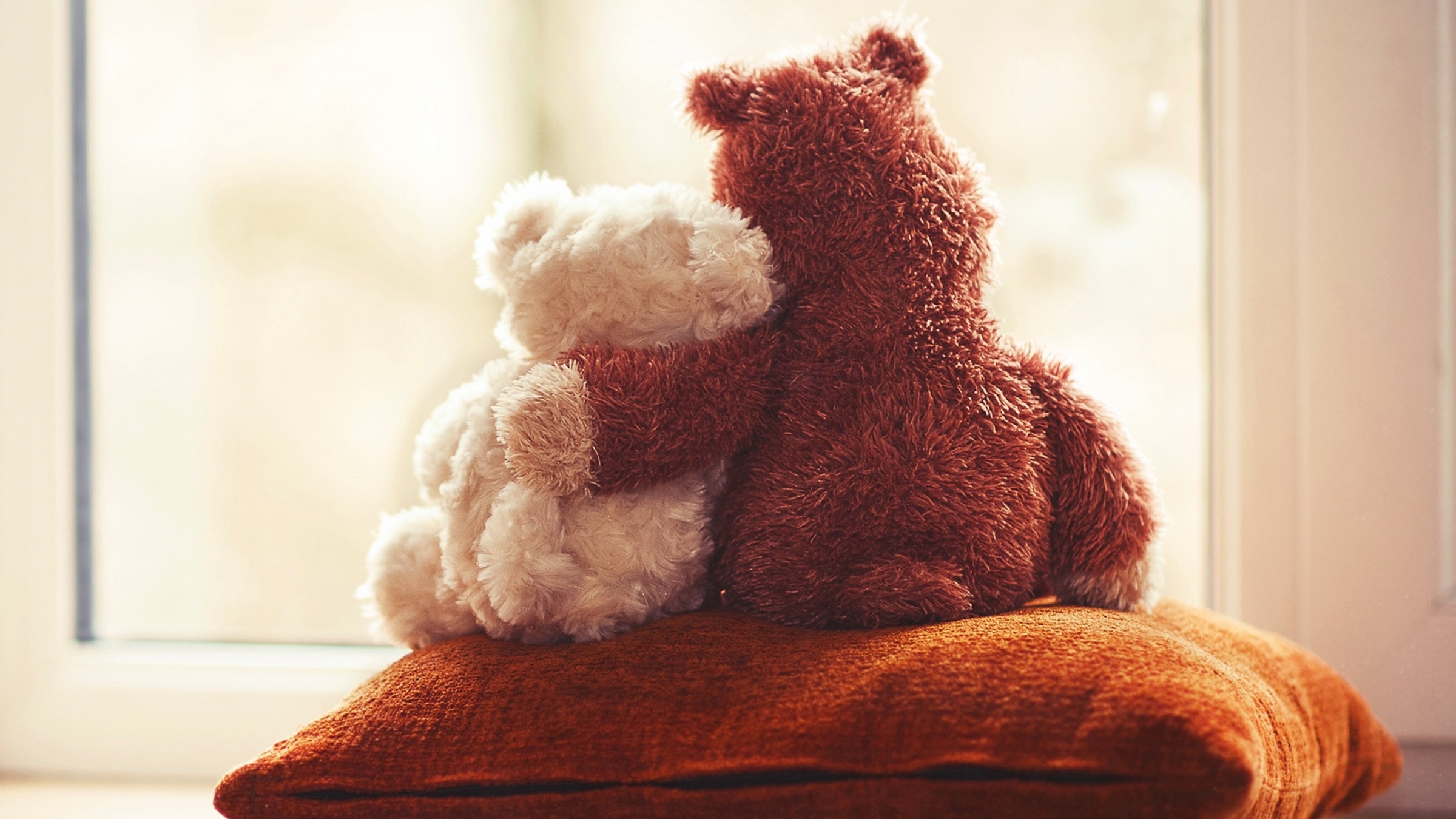 Cute Teddy Bear Couple Love