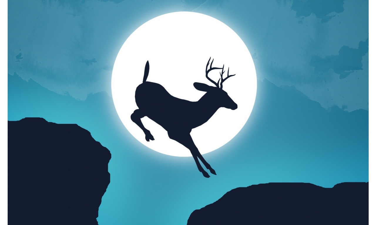 Deer Jump Moon Sky Creative