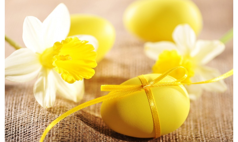 Easter Eggs Narcissus Flowers