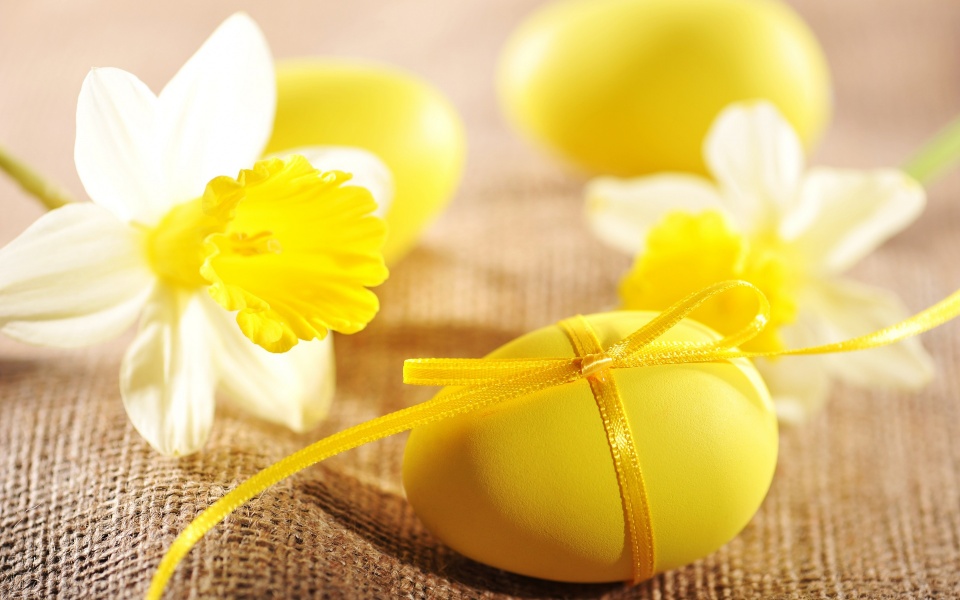 Easter Eggs Narcissus Flowers