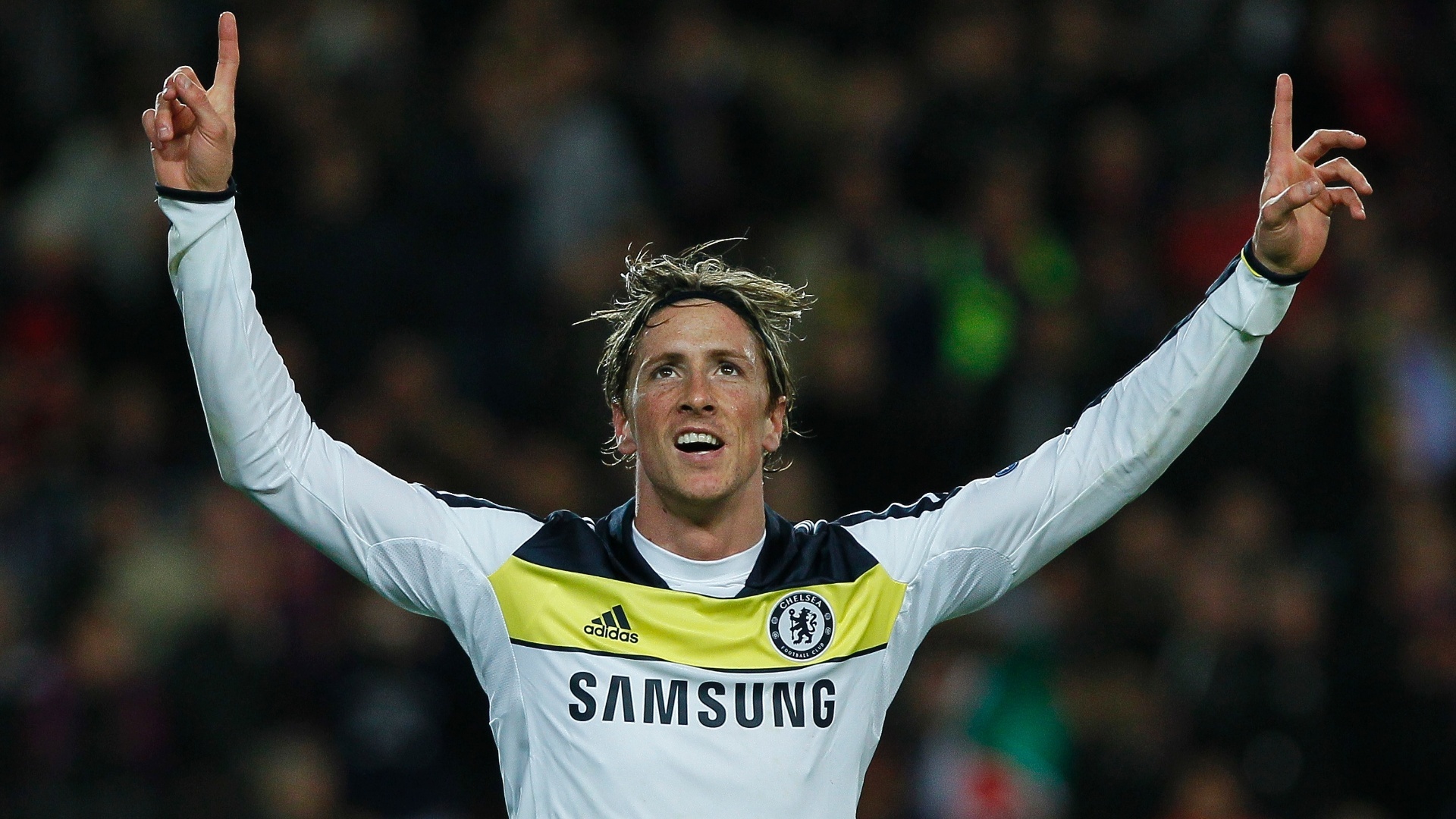 Fernando Torres Happy