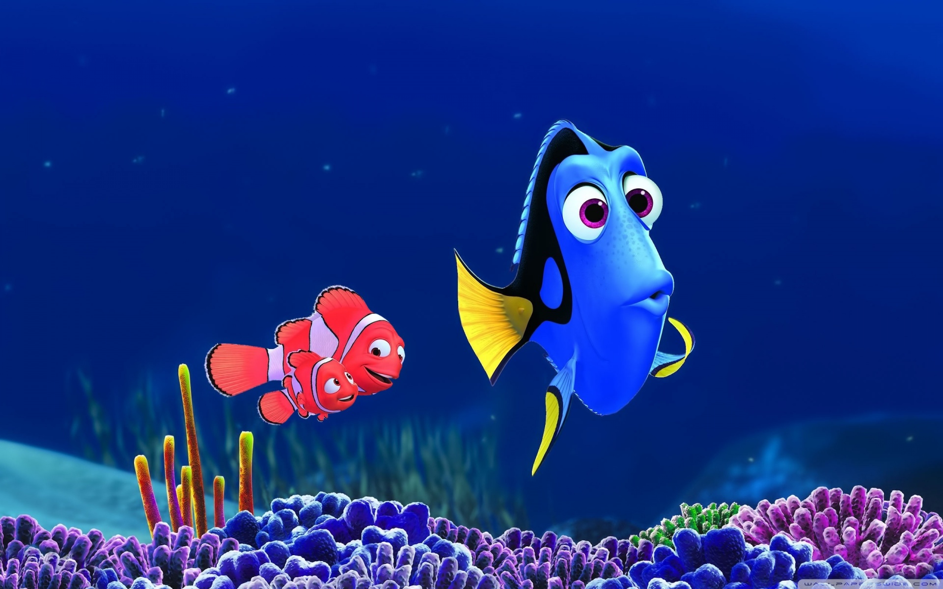 Finding Dory 2016.
