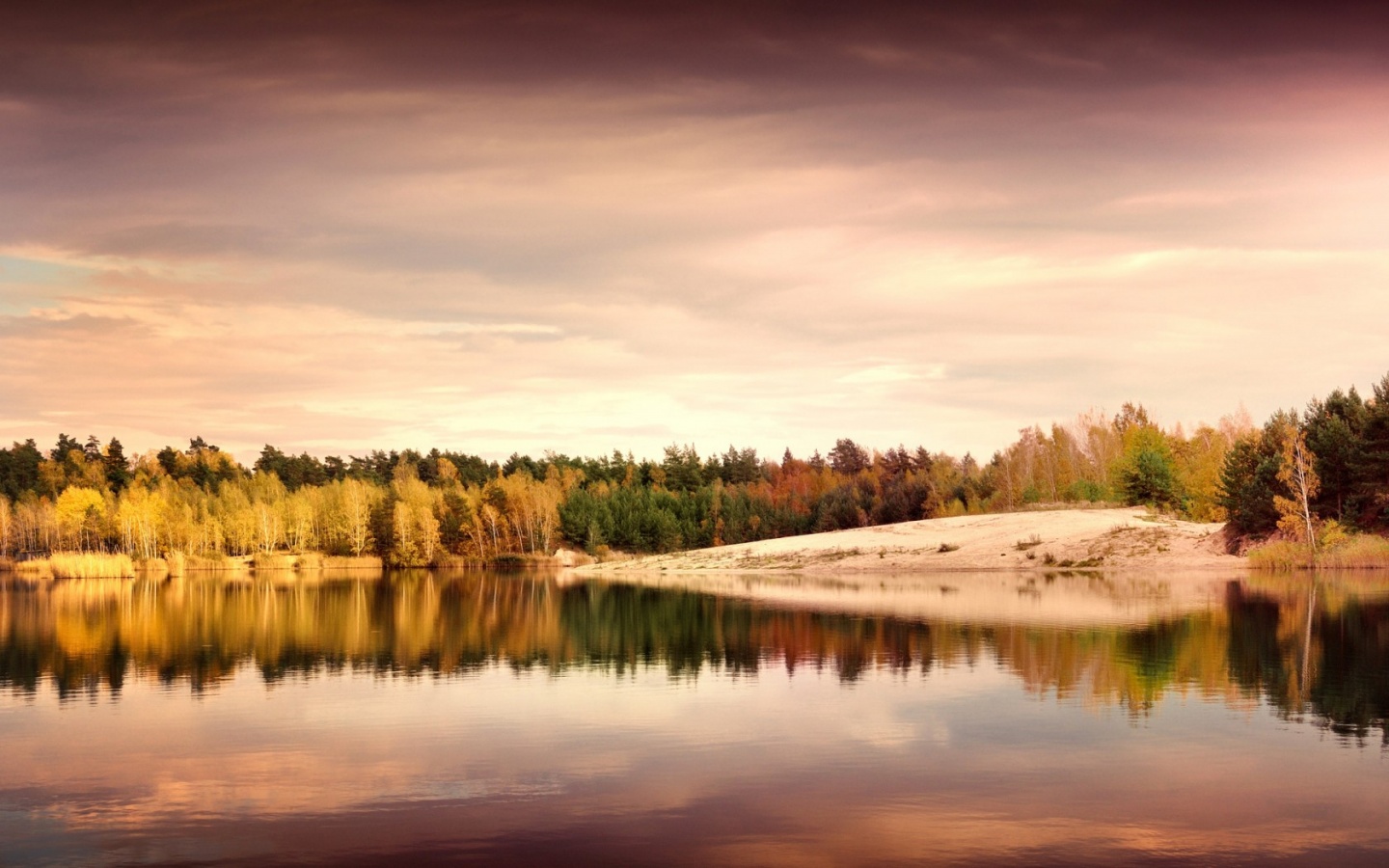 Germany Autumn Lake Landscape