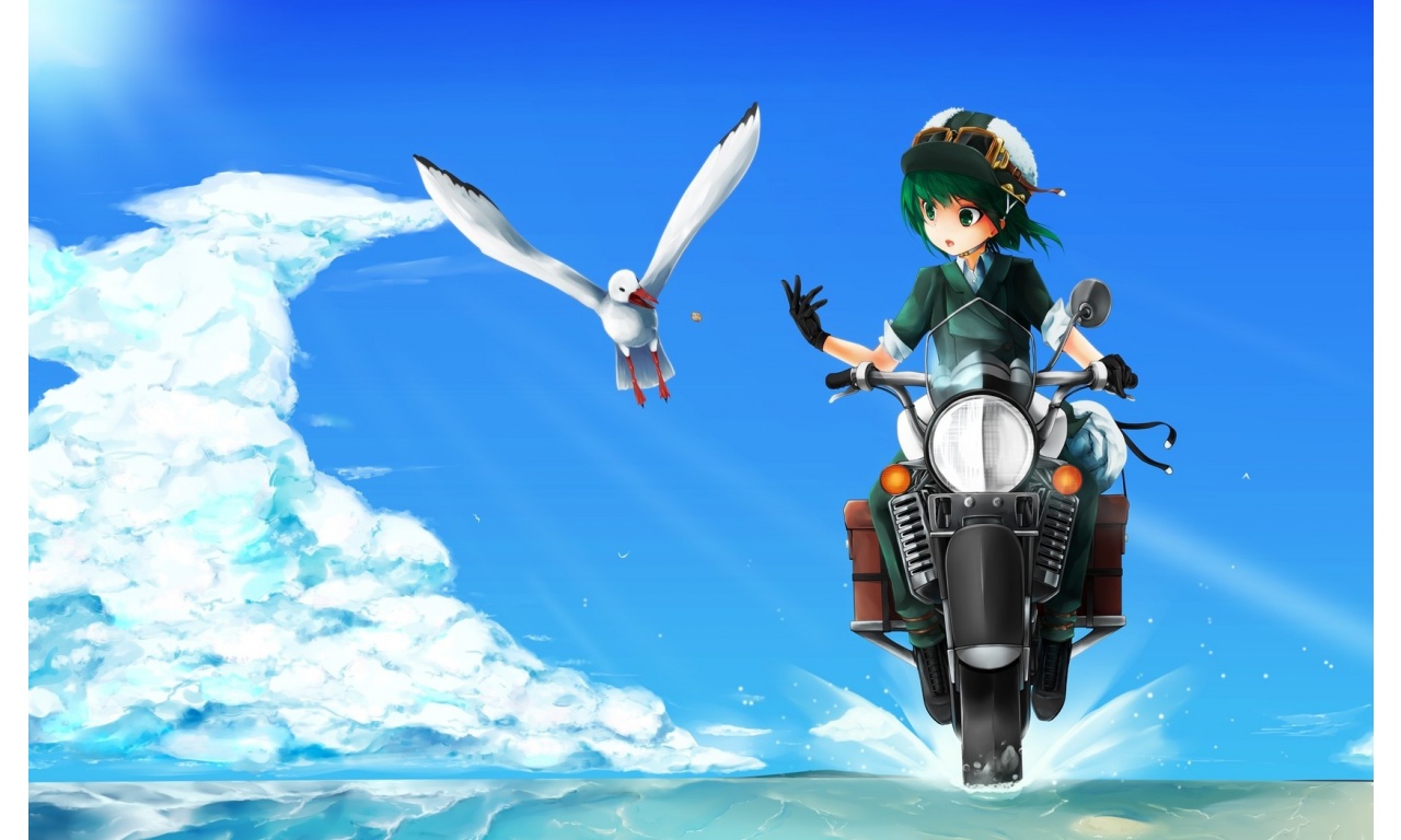 Girl Motorcycle And Seagull Bird