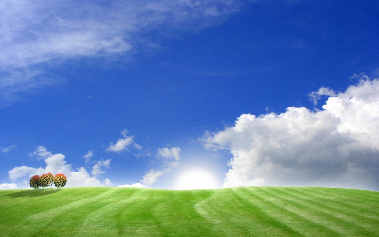 Green Field and Blue Sky