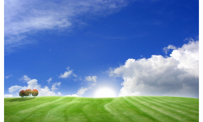 Green Field and Blue Sky