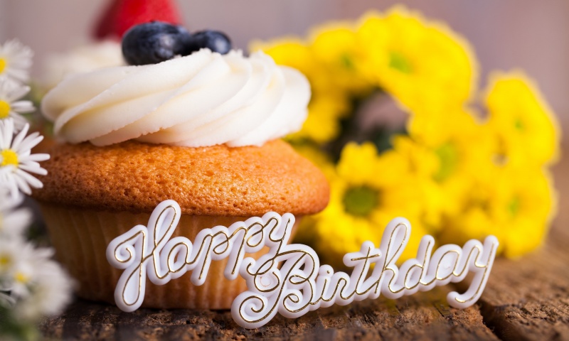 Happy Birthday Cupcake Holiday