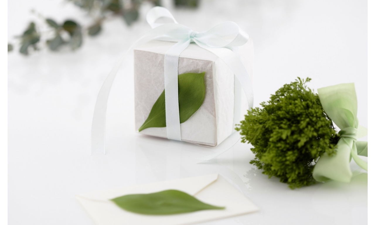 Holidays White Gift Box