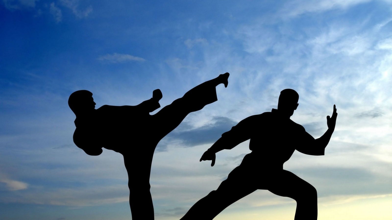 Karate Fight Shadow
