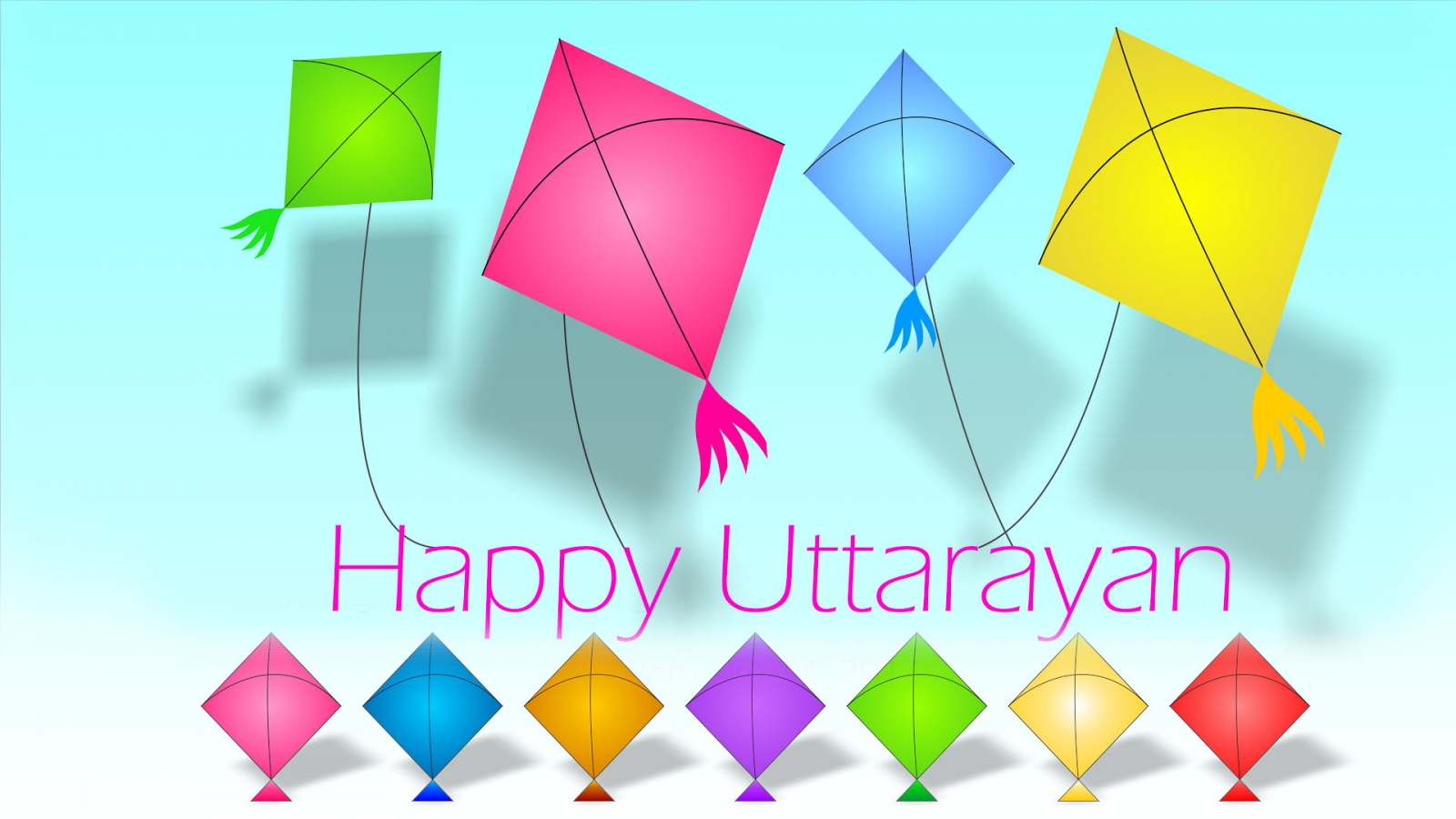 Kite Festival Uttarayan 2016