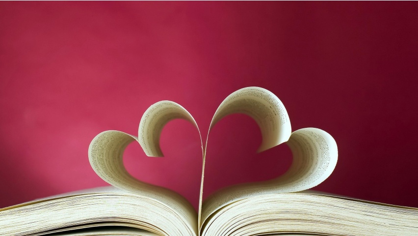 Love Book Love Heart