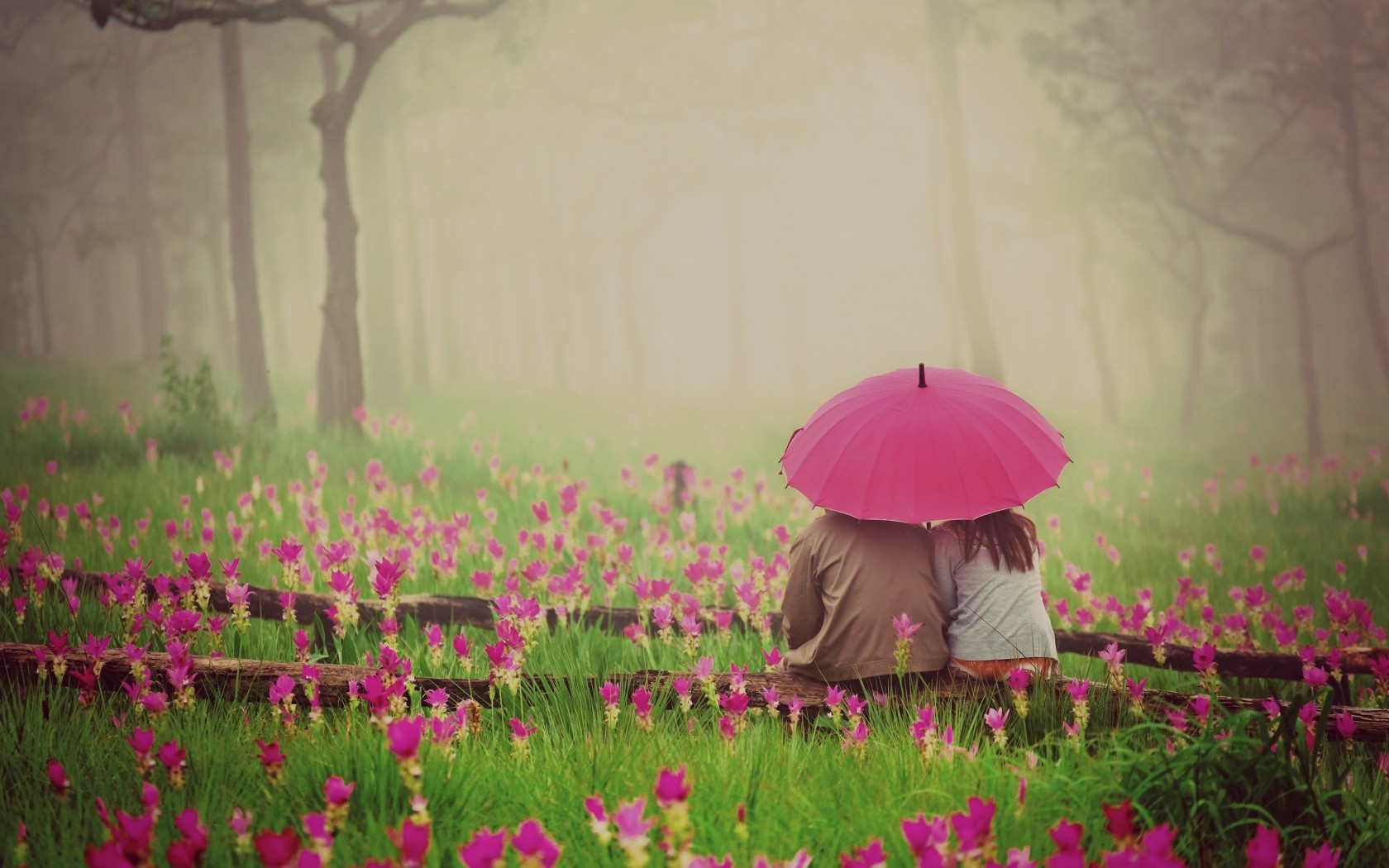 Love Couple With Pink Umbrella
