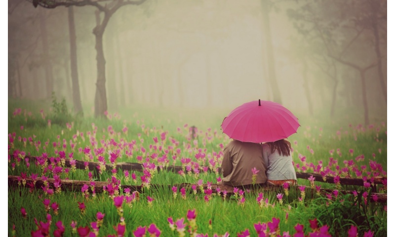 Love Couple With Pink Umbrella