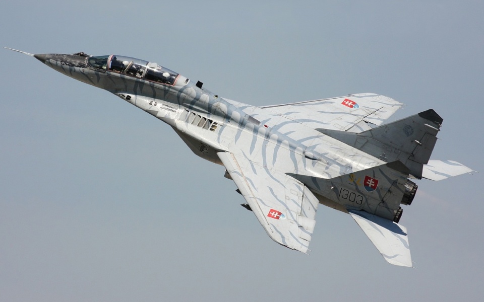 MiG-29UB Fighter