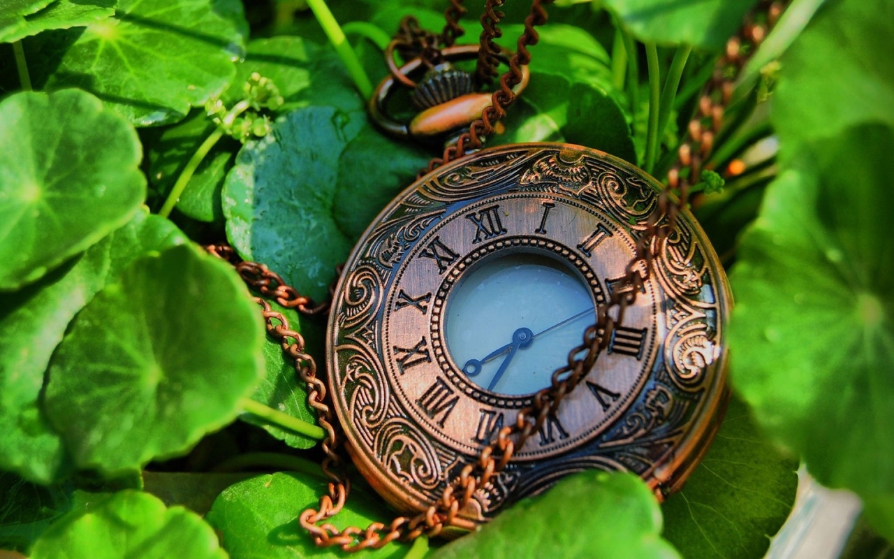 Pocket Watches In Leaves