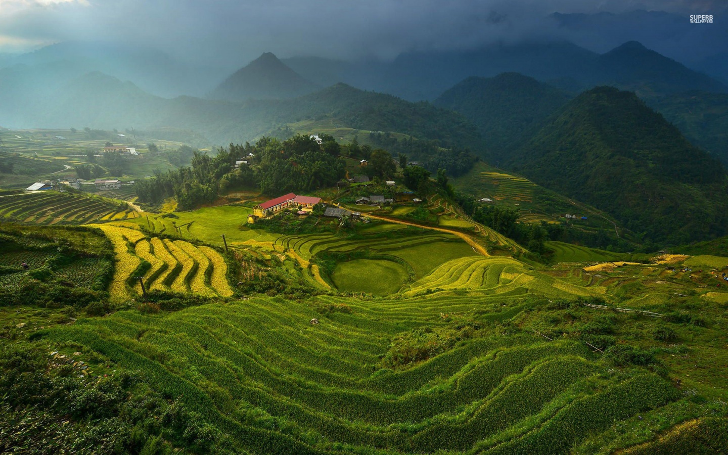 Rice Terraces in Vietnam