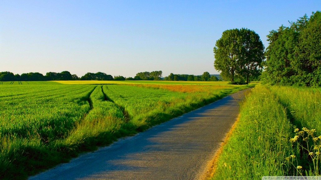 Road Passing a Green Field