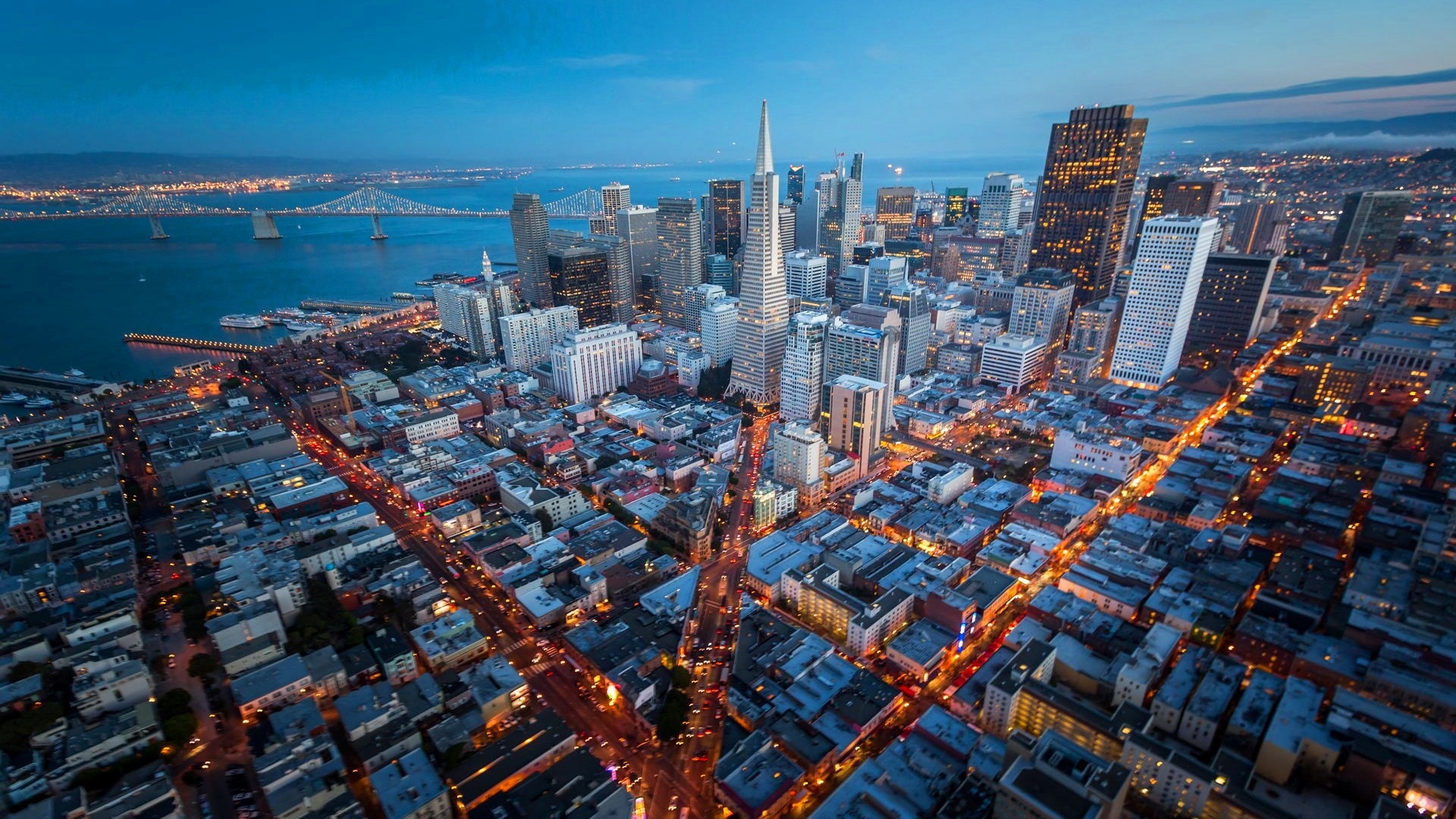 San Francisco California Usa Metropolis