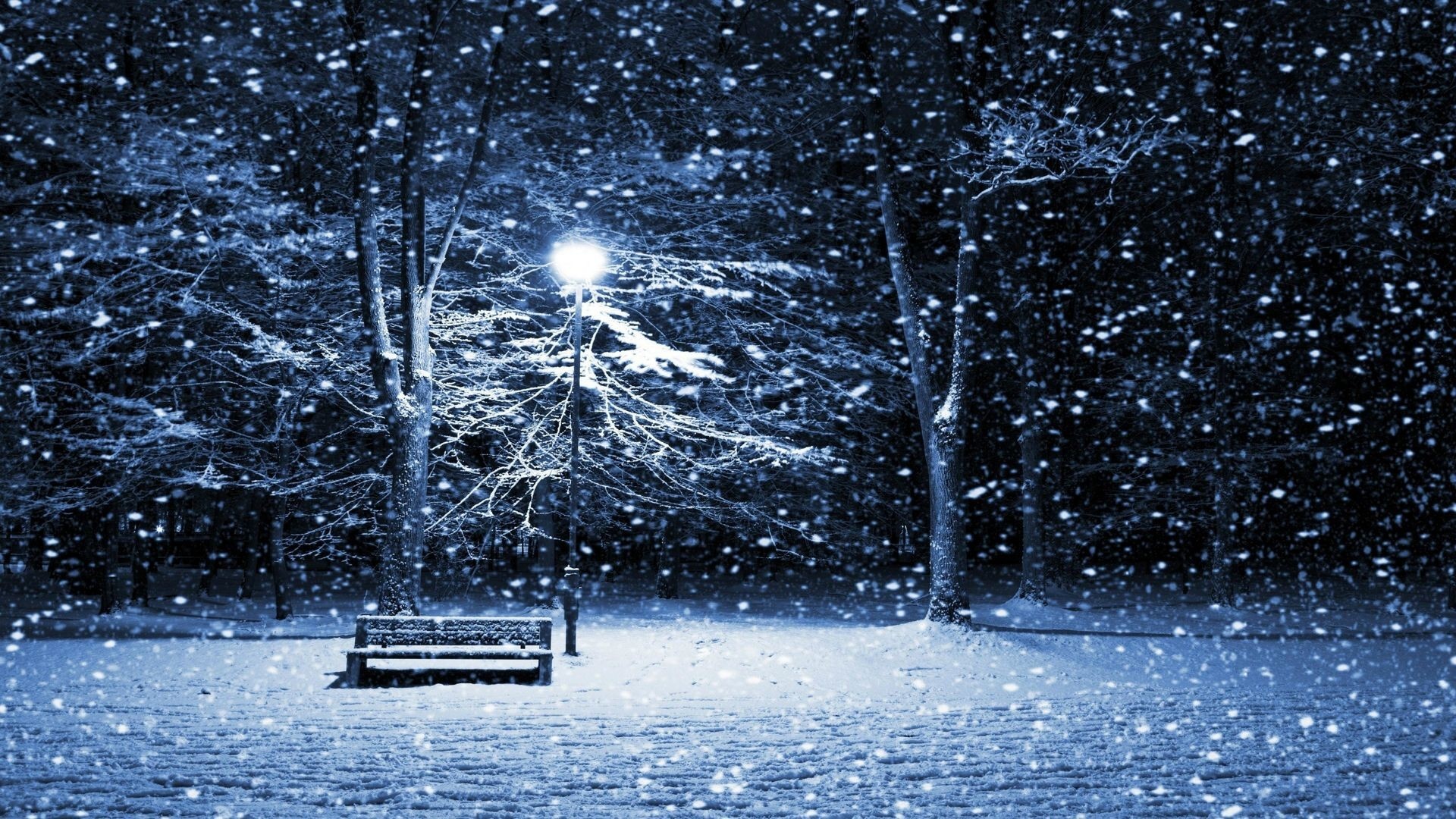 Snowing On Park Bench