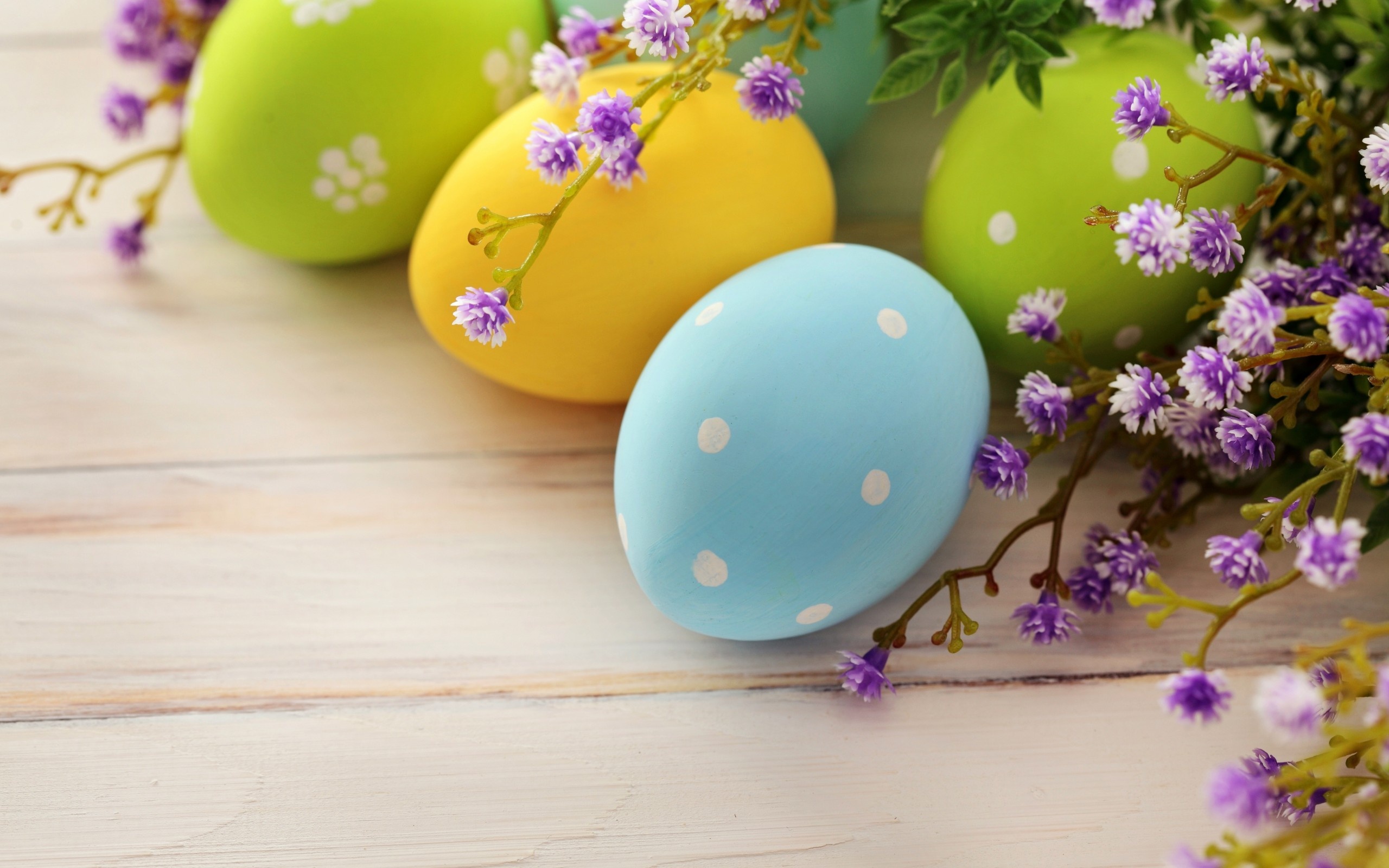 Spring Flowers And Easter Eggs