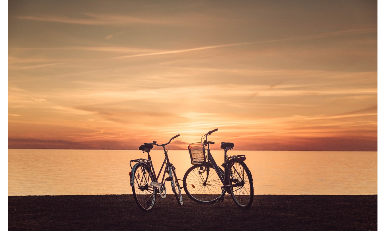Sunset Couple Bicycle At Lake