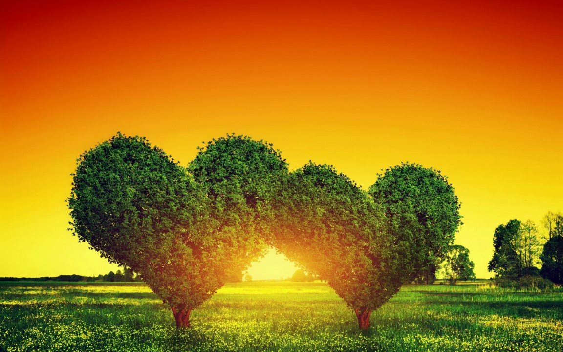 Sunset Heart Tree