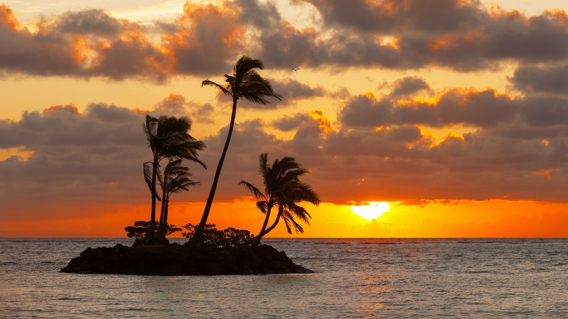 Sunset Sea Island Palm Trees