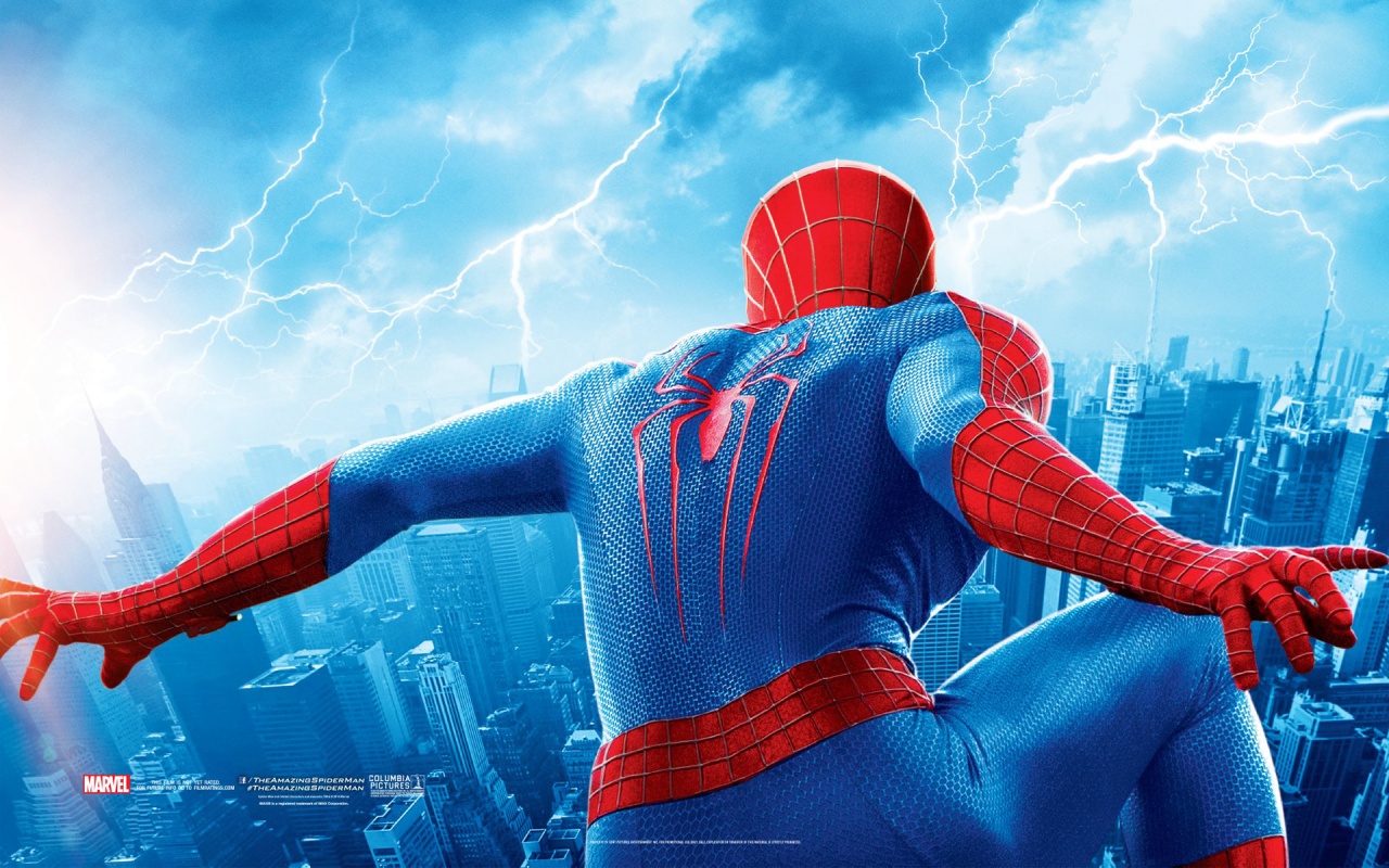 The Amazing Spider Man 2 2014 Banner