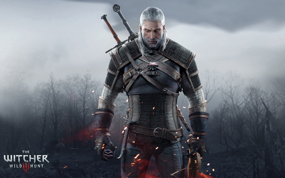 The Witcher 3: Wild Hunt Video Game