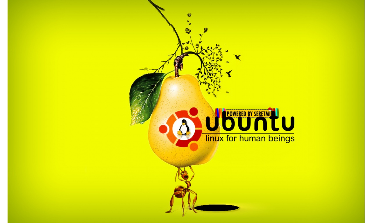 Ubuntu Fruit