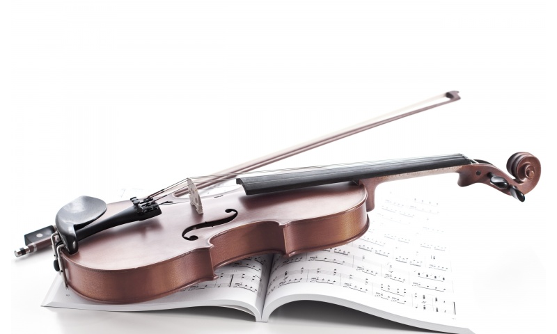 Violin And Music Note Book