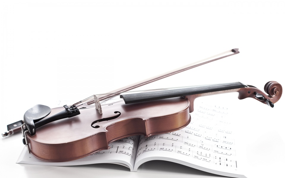 Violin And Music Note Book