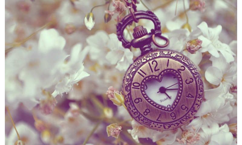 White Flowers And Pocket Watch