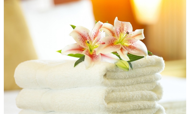 White Towel And Lily Flower