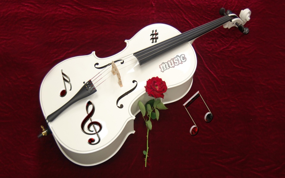 White Violin And Rose Flower
