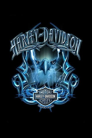 Harley Davidson Logo Wallpapers - 320x480 - 38119
