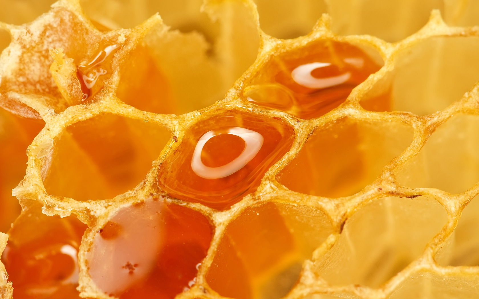 Honey In Honeycomb