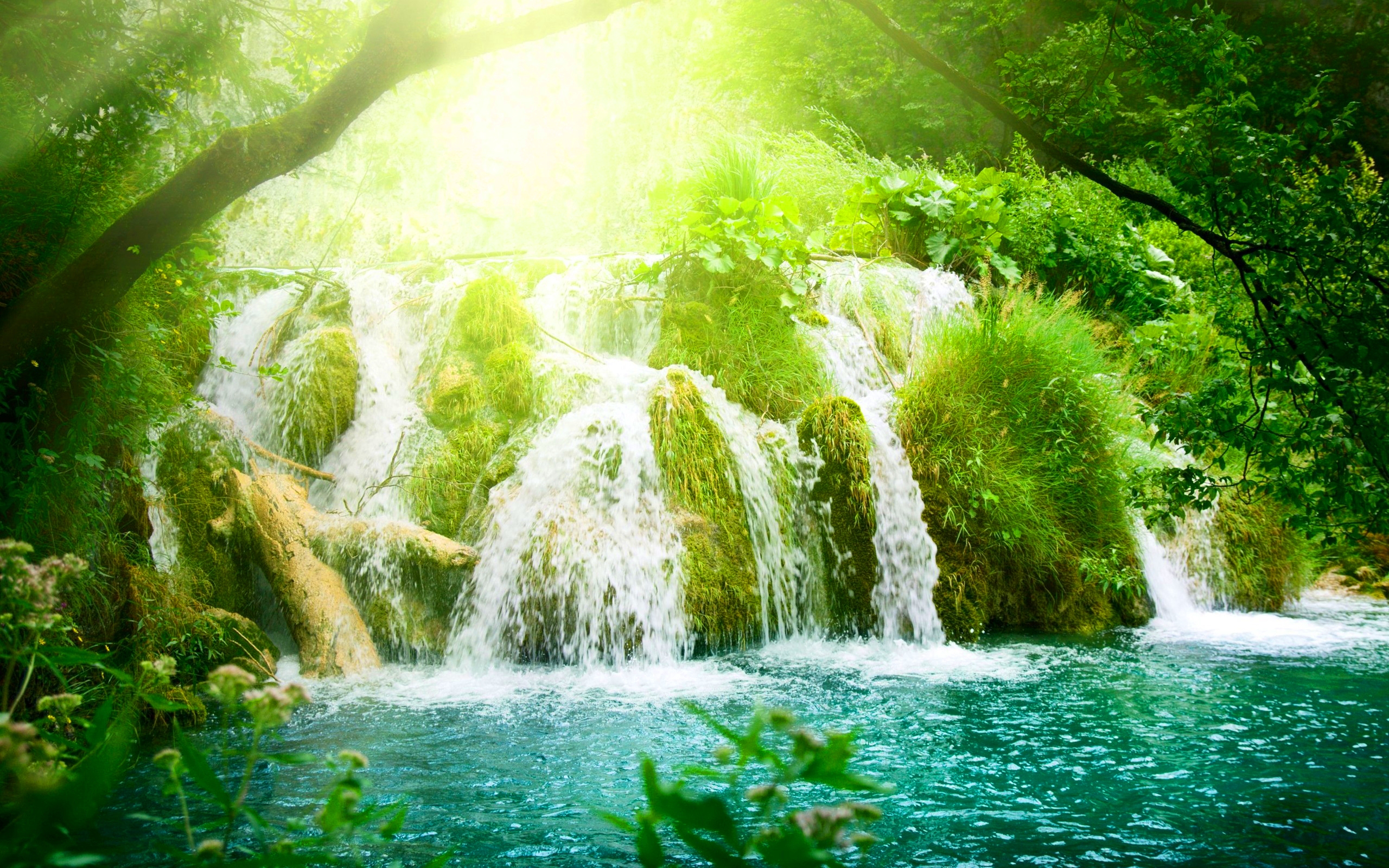 Paradise River Waterfalls Wallpapers - 2560x1600 - 2854149